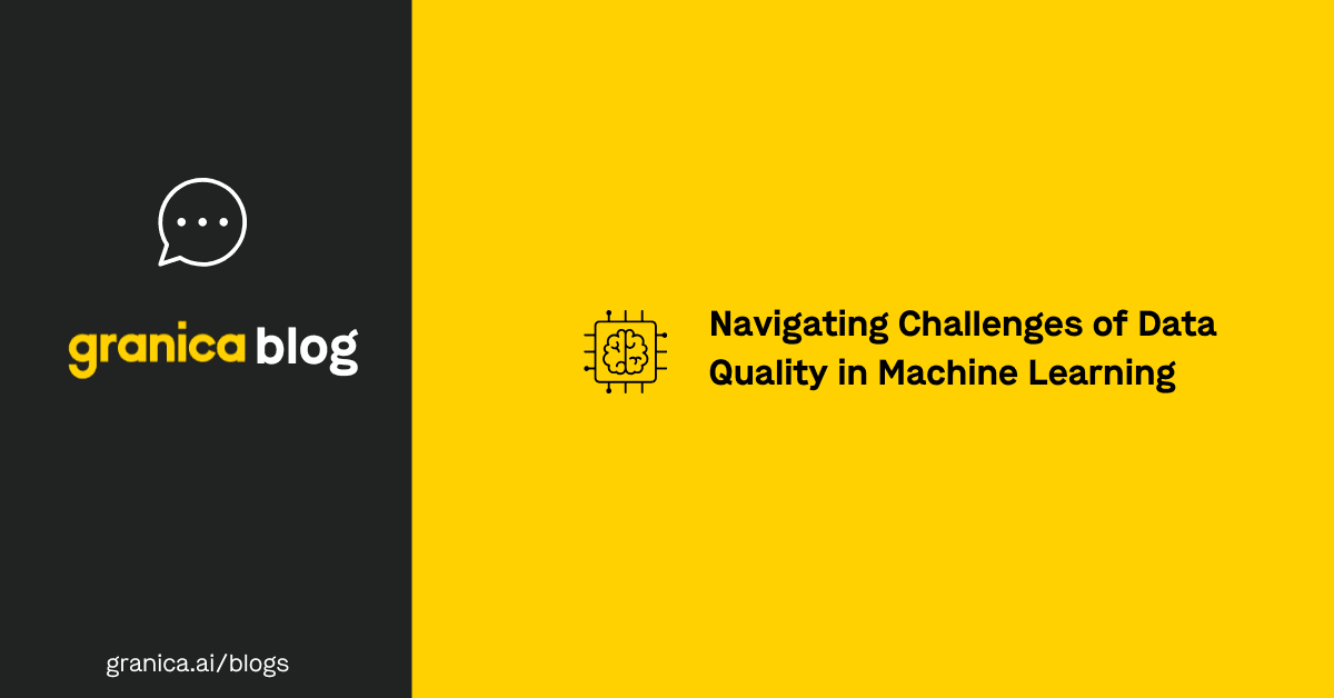 Navigating challenges of data quality in machine learning